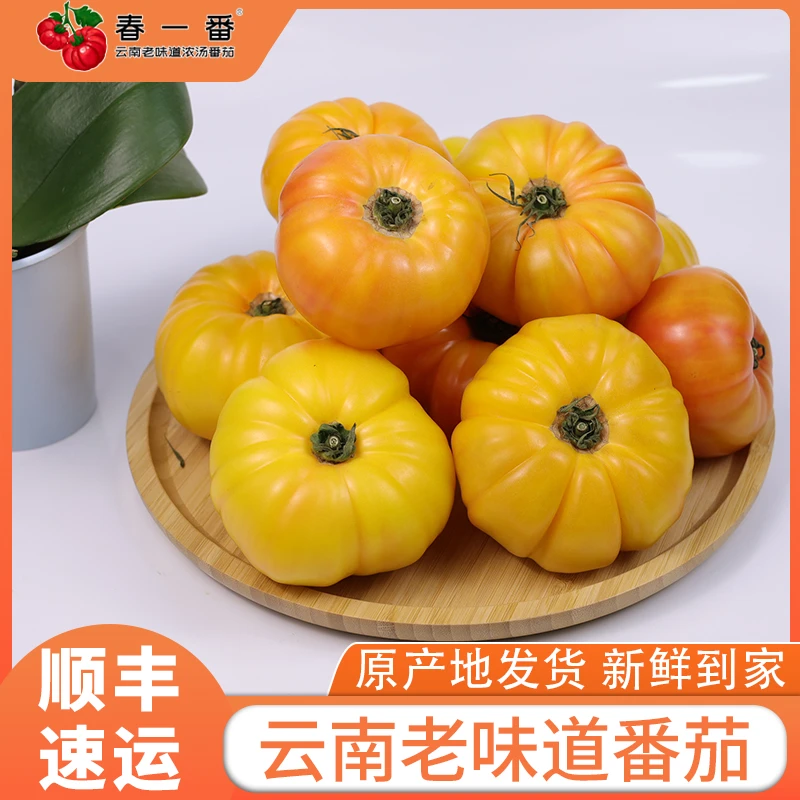【顺丰】肉厚多汁酸甜美味】米其林臻选黄番茄云南老味道西红柿