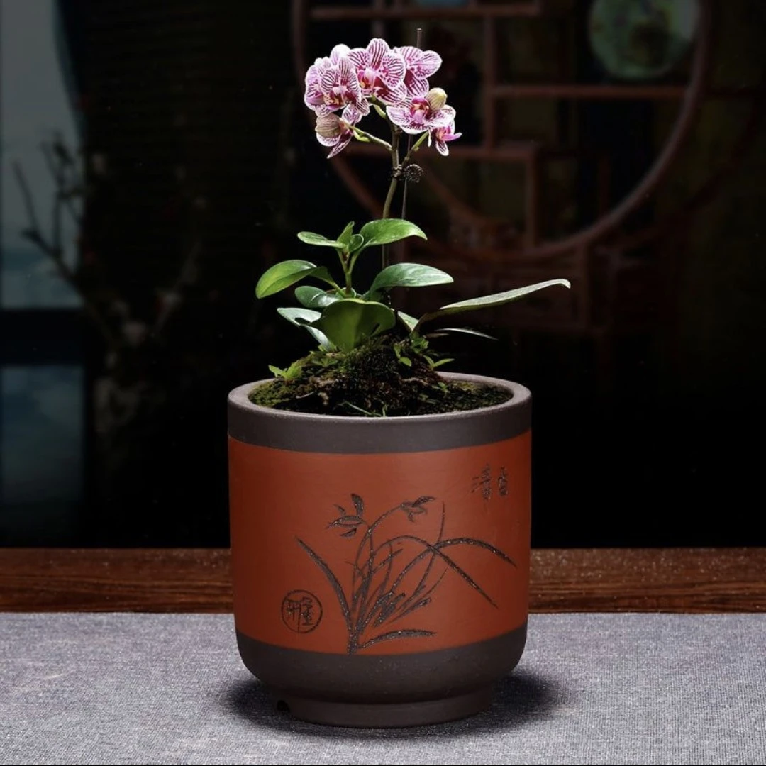 自产宜兴精品紫砂花盆大口径兰花盆小兰花盆，君子兰盆，建兰盆