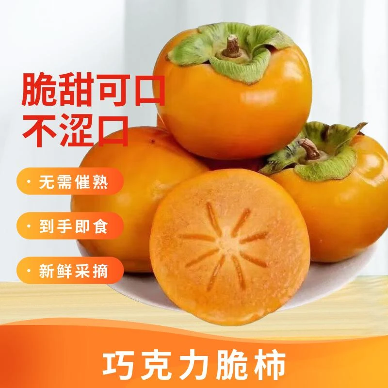 【脆甜】陕西阳丰脆柿子又甜又脆巧克力柿不涩口新鲜采摘无需催熟