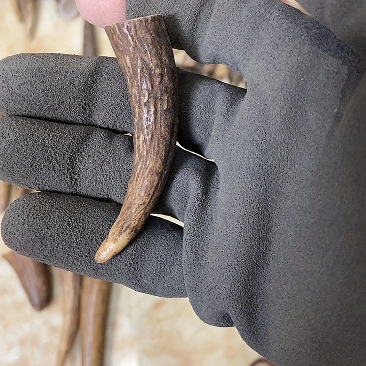 射***手大叶紫檀（黑酸枝木类）