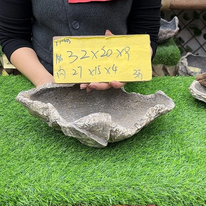 花盆异形花盆鱼缸p5-001