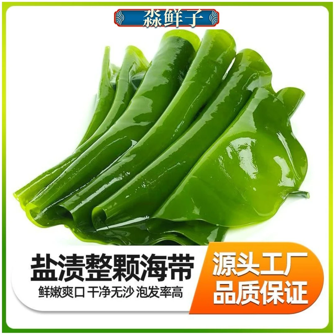 推荐旅顺饭包菜整颗海带盐渍新海带 4.7斤（带箱）新鲜食用鲜嫩