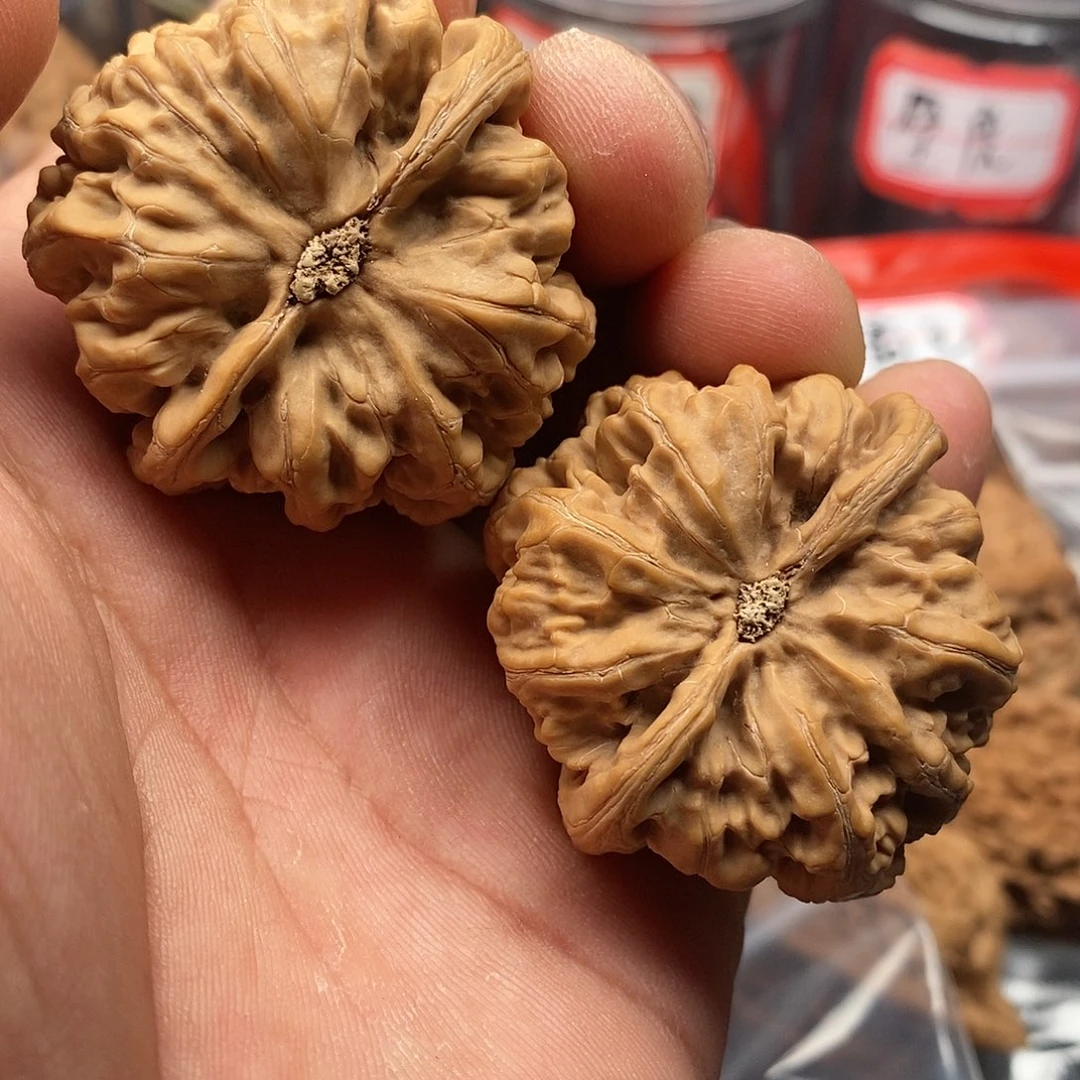 文玩核桃把件不****洋粗筋42