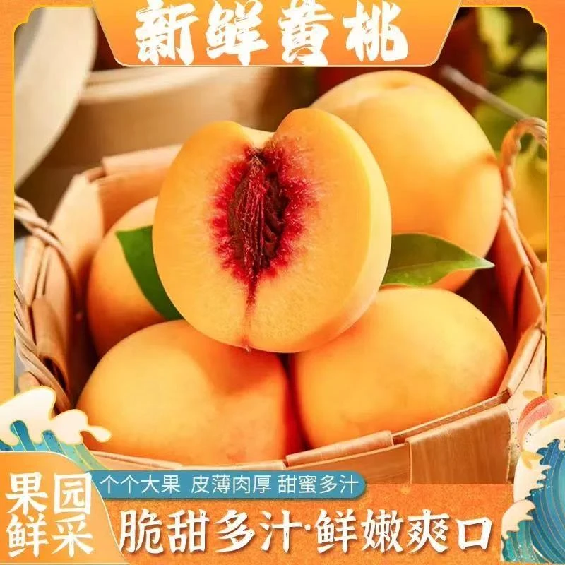 Y正宗黄桃新鲜水果香甜多汁现摘现发整箱包邮