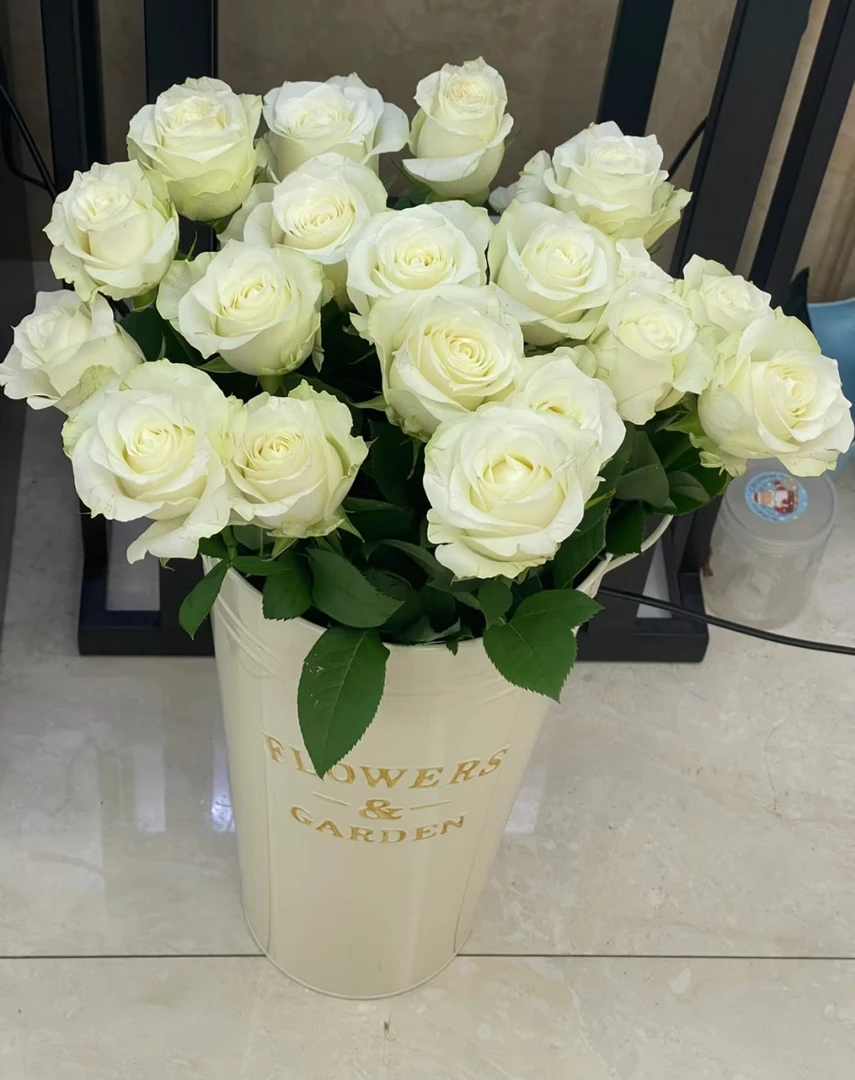 【混搭玫瑰3】红玫瑰10+骄傲10+向日葵2+配草1把  云南昆明发货