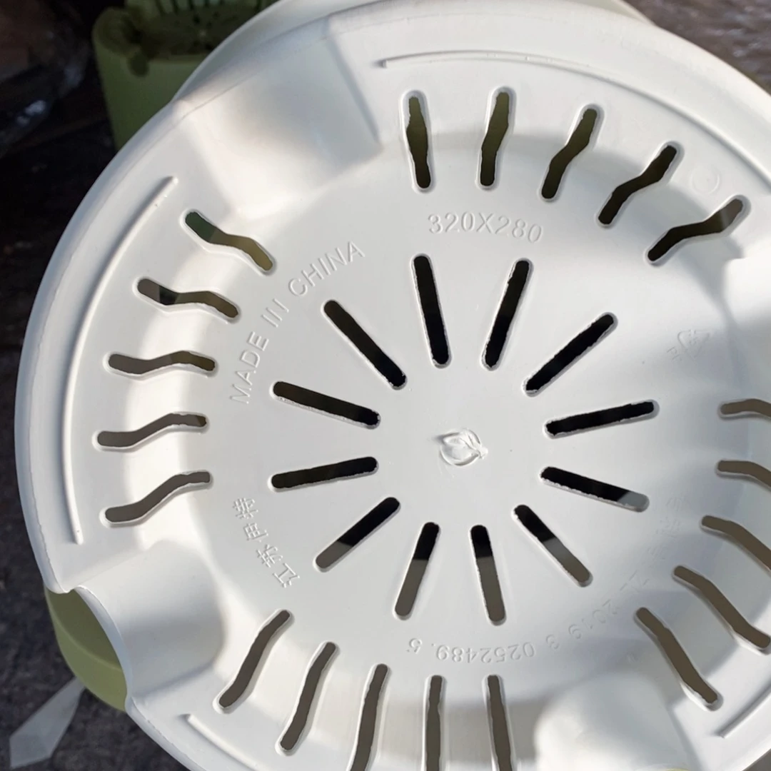 4个32口奶白无托伊特（32×28）