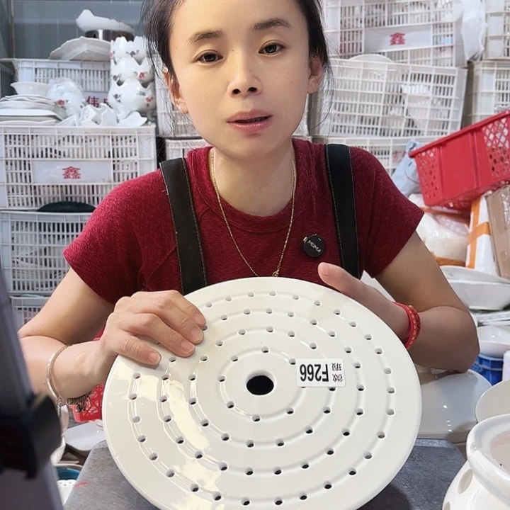 盘微瑕产品………蒸板一个