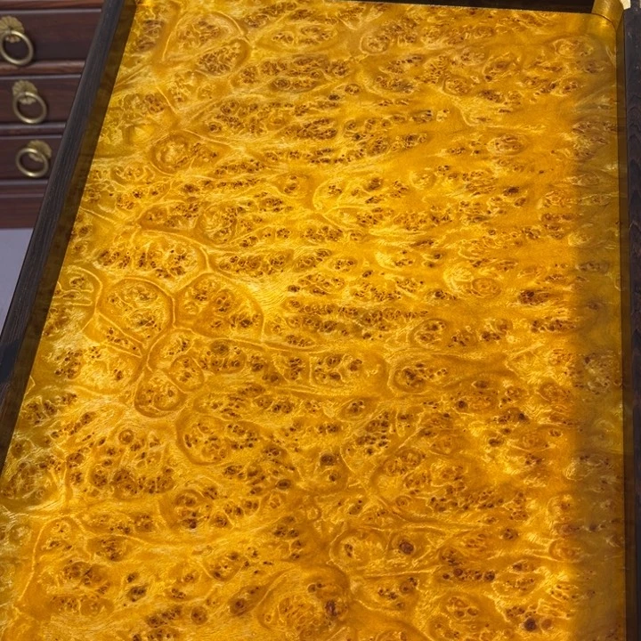 木黄金樟留疤超大托盘