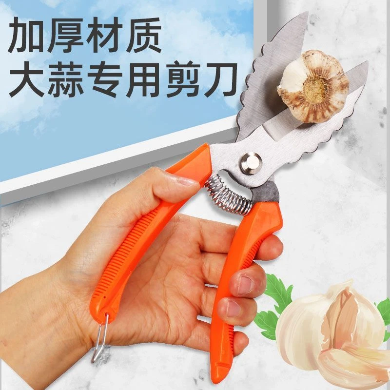 农用大蒜剪刀加厚家用剪子圆葱专用工具干湿蒜杆蒜胡蒜须剪蒜神器
