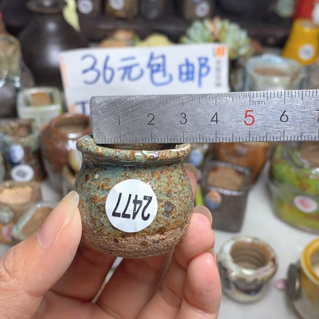 拍5送一个小礼物