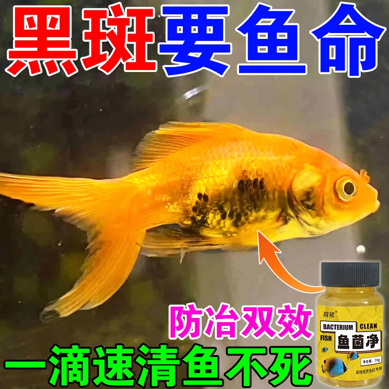金鱼长黑斑怎么去除用鱼菌净金鱼龙鱼黑斑水霉烂身黑鳞鱼缸专用