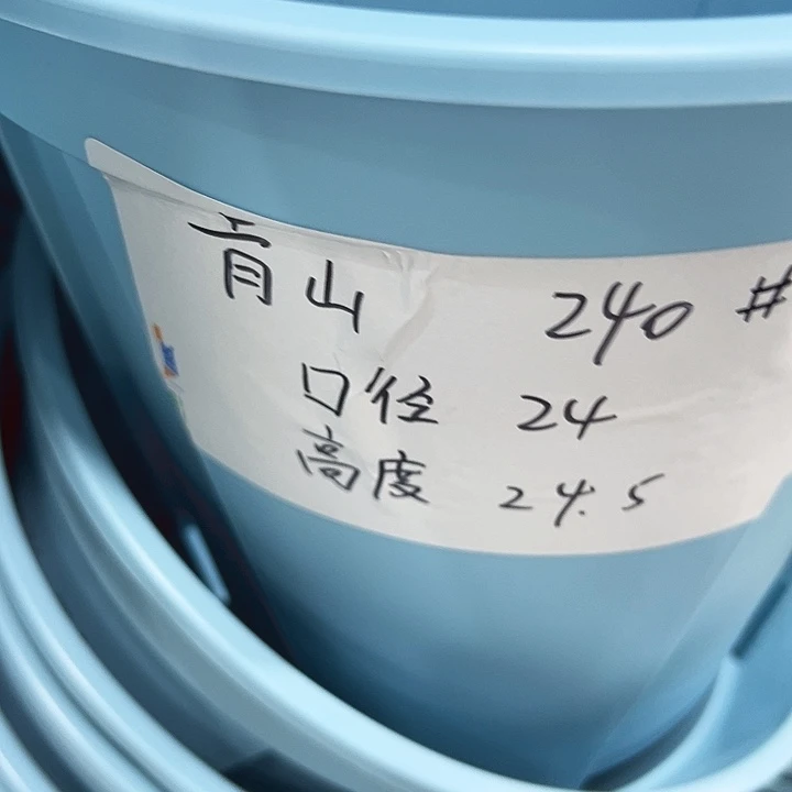 特价青山口24高24蓝色无托5只