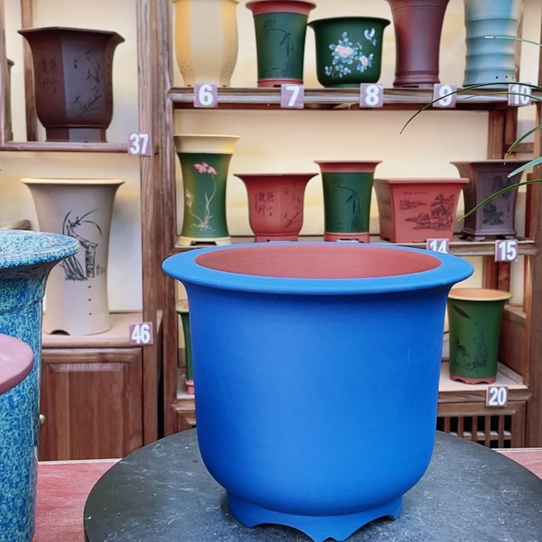 【闪购商品】紫砂花盆兰花455888556632115999