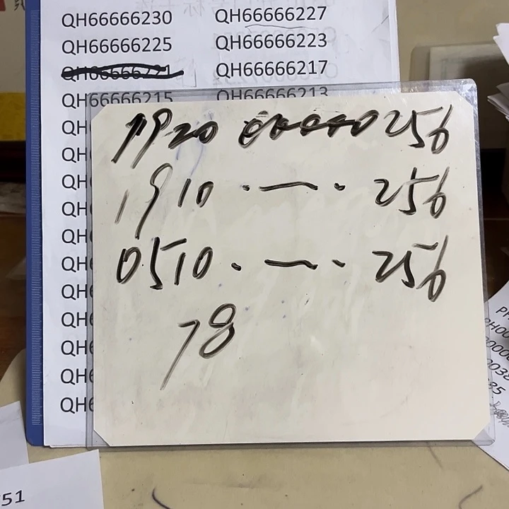 州***洋19201910051000000256