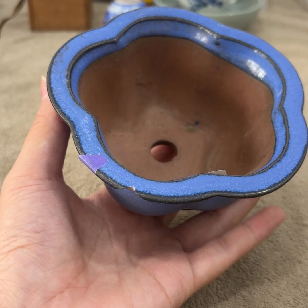 非常好看的物品 非常好看的物品