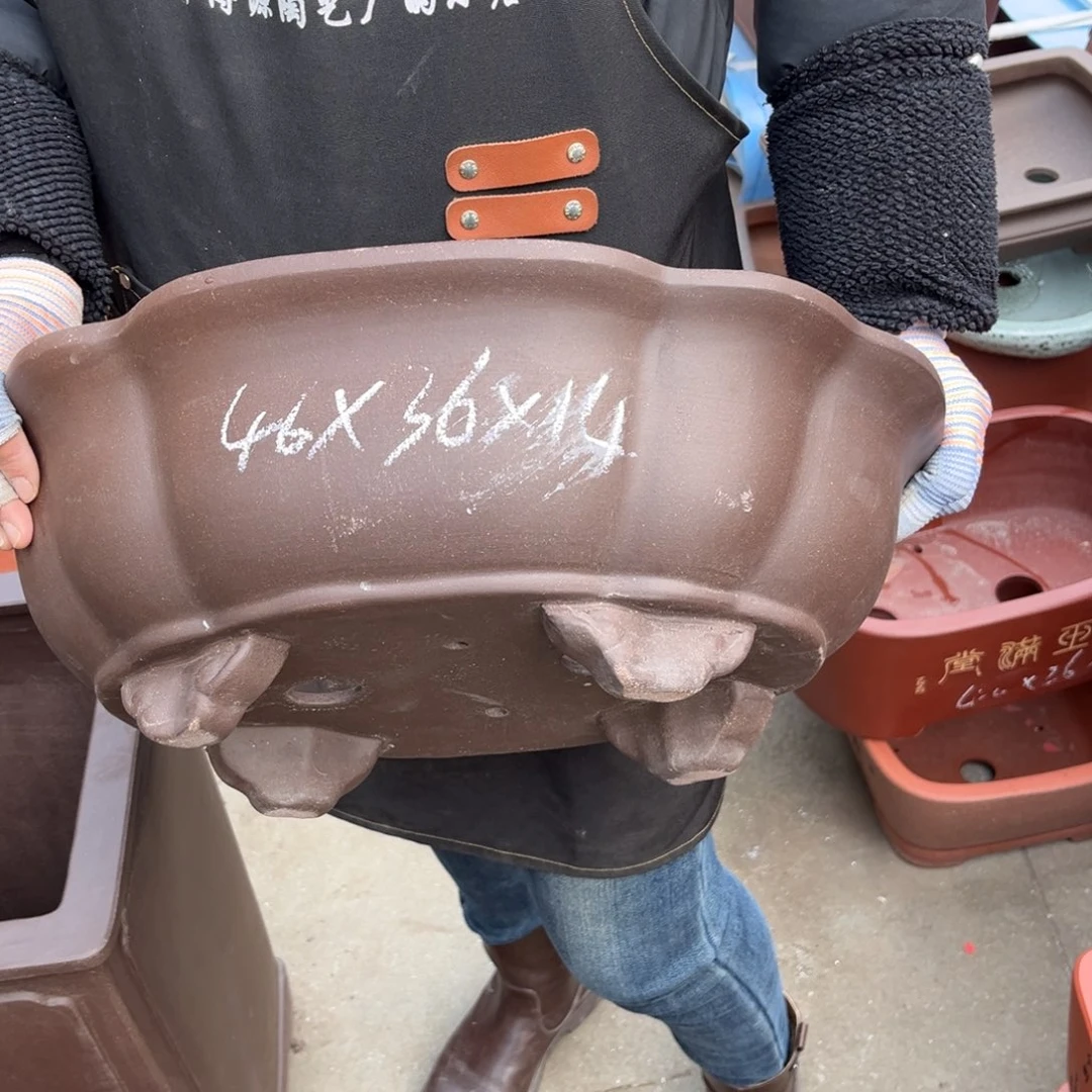 紫砂花盆盆景艺术