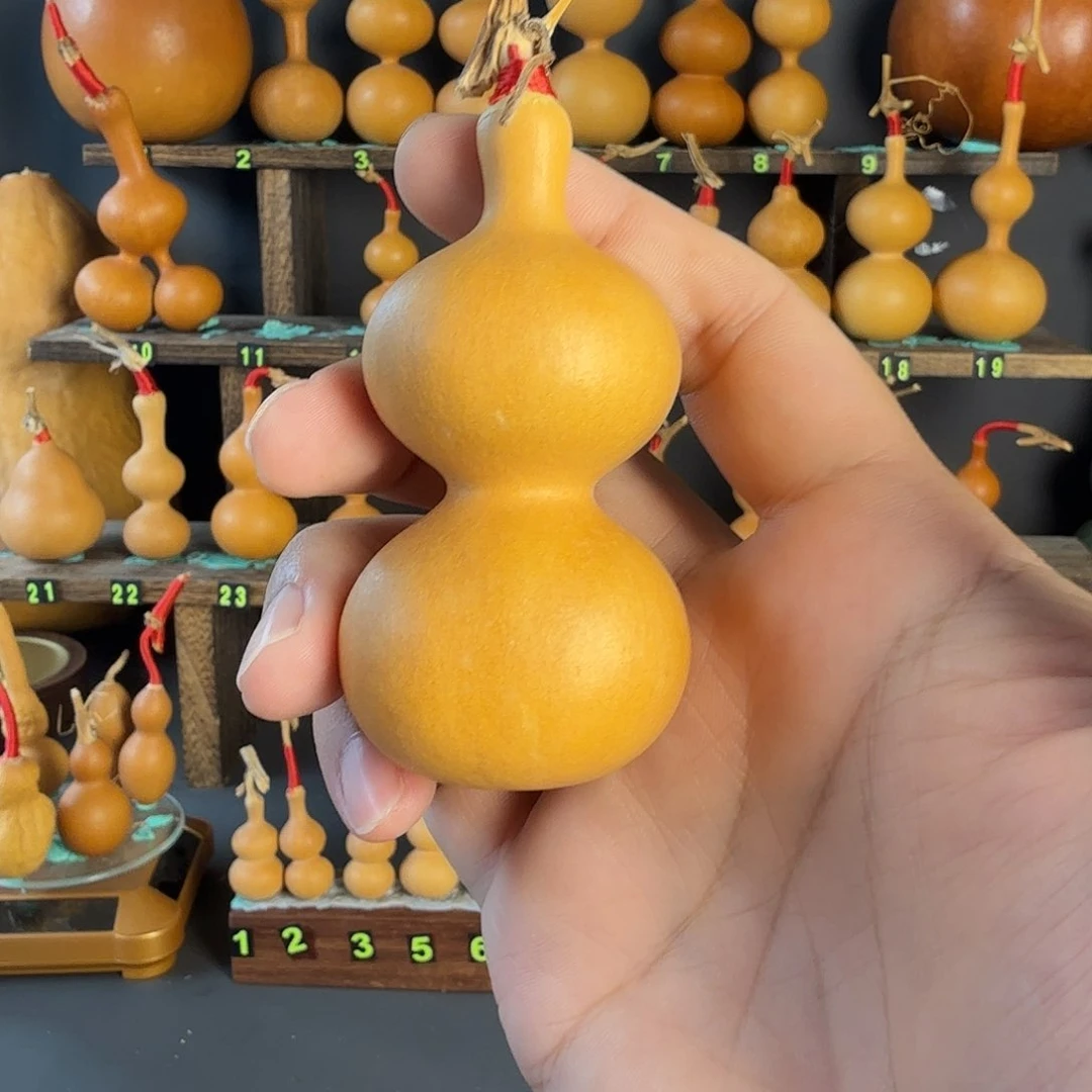 象***-葫芦葫芦葫芦葫芦葫芦葫芦葫芦葫芦