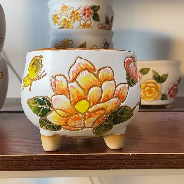 韩式多肉植物花盆