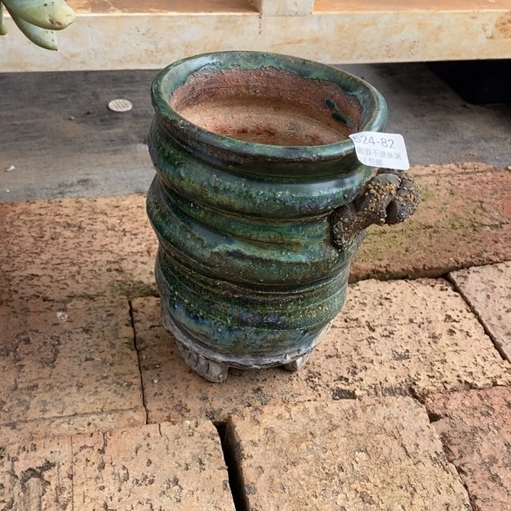 L****翼82号多肉盆一个呀