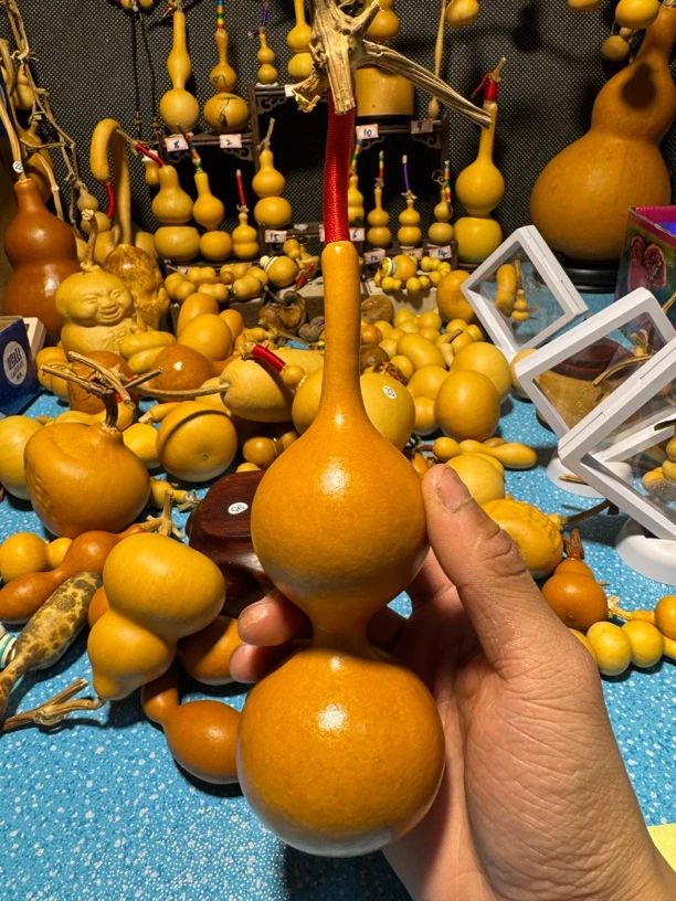 葫芦直播链接请勿乱拍