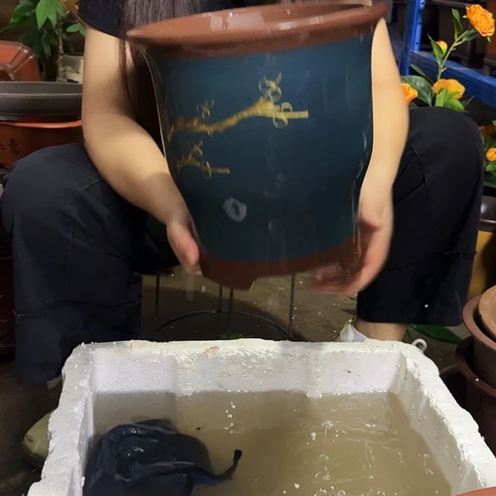 花盆花盆花盆花盆177