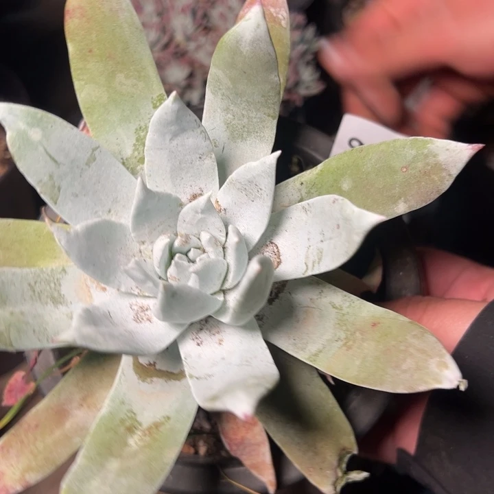 1909哈哈哈哈哈哈哈