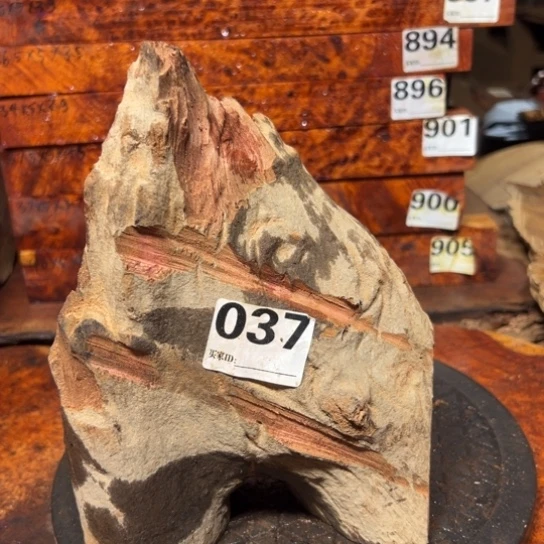 大果紫檀（缅甸花梨）