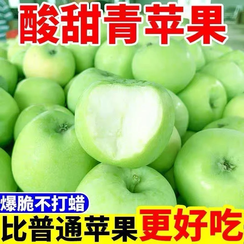 5斤 密云老树伏苹果青苹果 儿时味道 果园现摘现发 酸甜可口错过等一年北京市