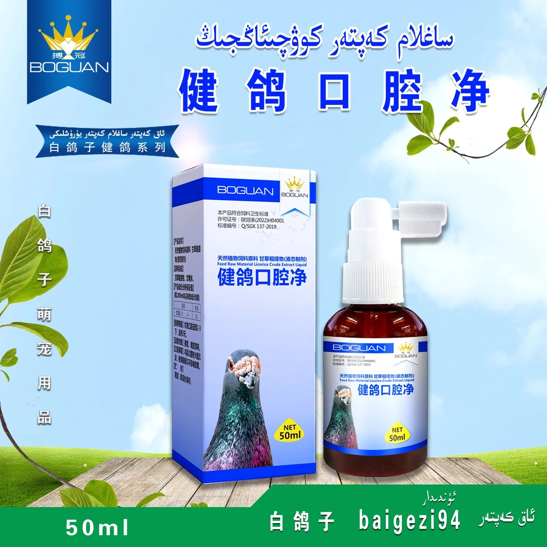 白鸽子搏冠健鸽口腔净 saglam kap tar egiz purkimisi【新疆包邮】