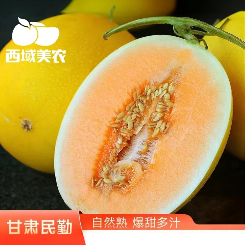 西域美农民勤蜜瓜2-3枚 新鲜应季水果 沙漠蜜甜瓜 脆嫩多汁金红宝