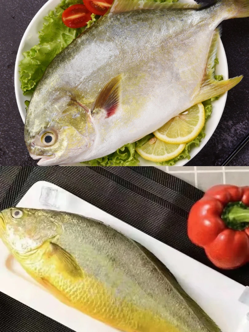 【四条混装】精品黄鱼（1.4-1.6斤）两条+金鲳鱼（1.1斤-1.3斤）两条