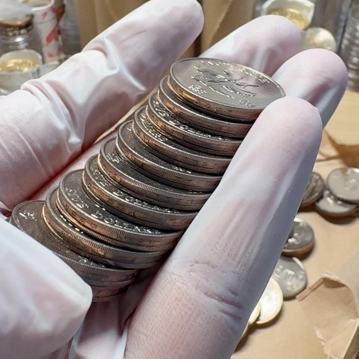 其他普通金属10枚93年紫荆花5元币