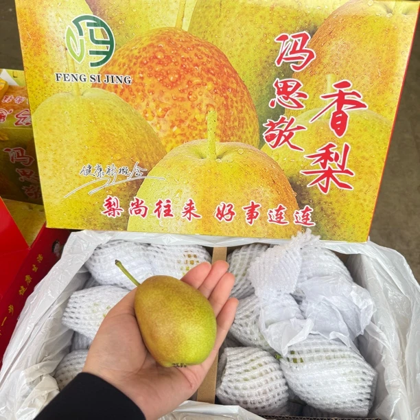 陕西红香酥梨 礼盒装 清甜可口 顺丰包邮到家