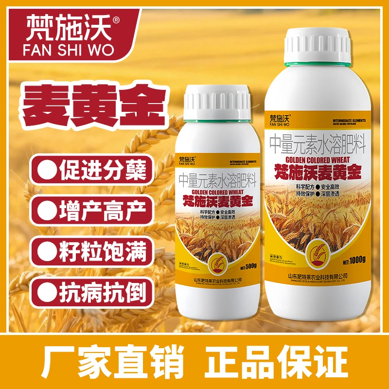 梵施沃麦黄金小麦高产抗寒防冻壮苗促茎分蘖灌浆抗倒伏穗大增产肥