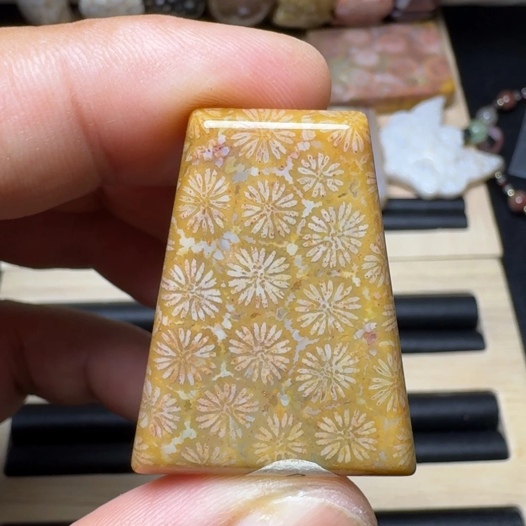 未镶嵌纯天然色有机玉石保真色硅化玉