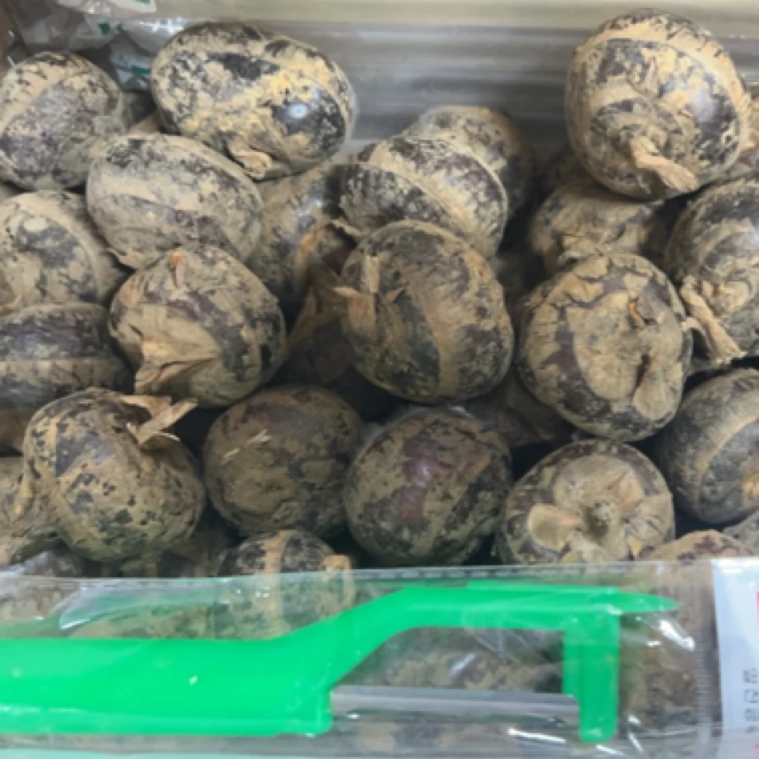 贝贝马蹄一件