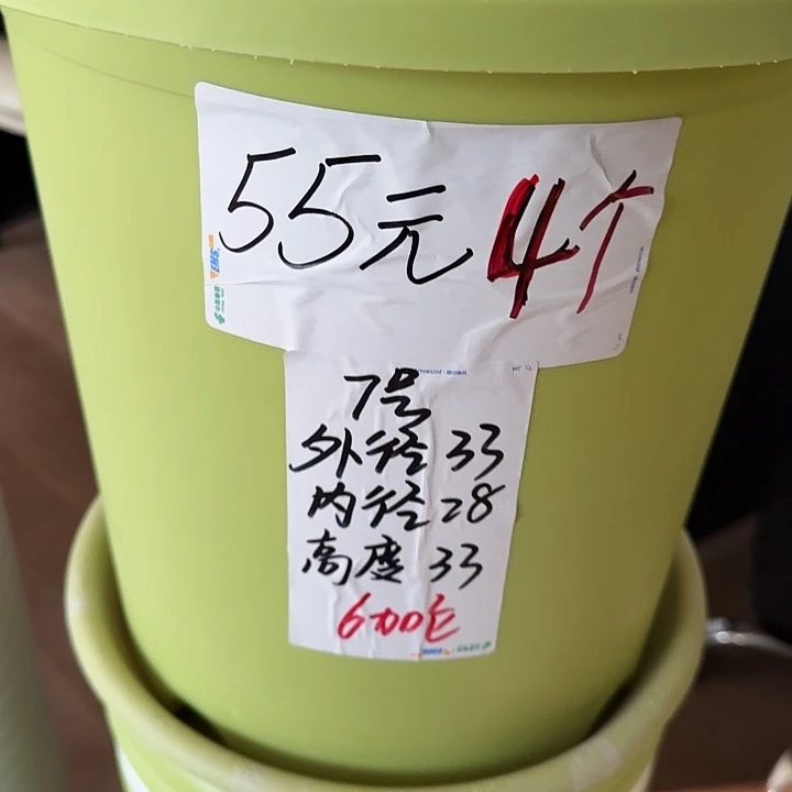 四季7号果绿无托6个特价微瑕