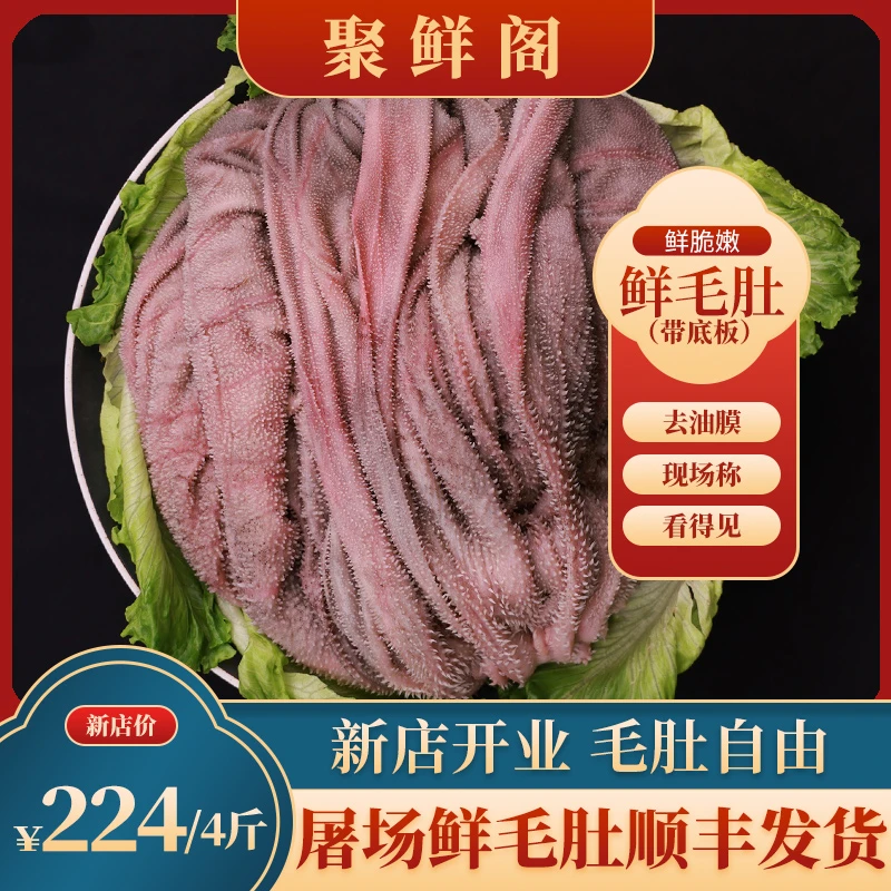 【带底板】纯鲜毛肚整个 带底板 新鲜 脆爽 固形物含量90%