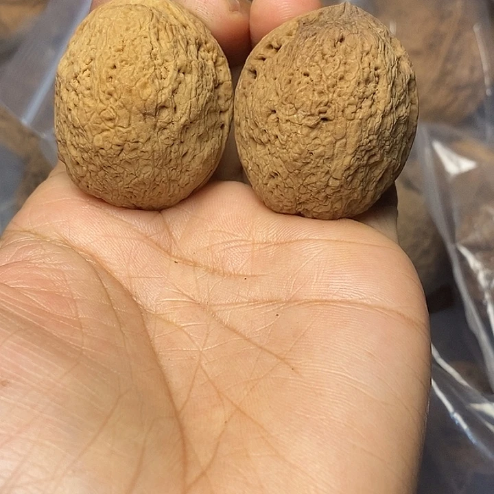 把件文玩核桃云南铁核桃47
