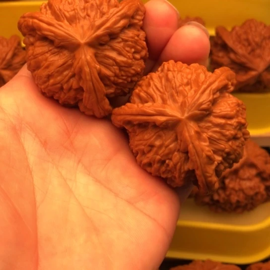 沙***核桃核桃核桃核桃核桃