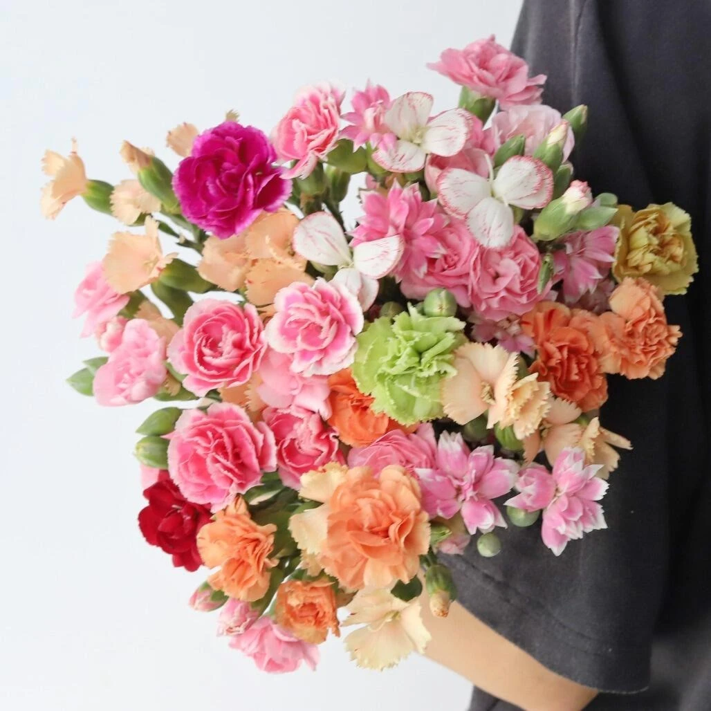 九公主【混色多头康乃馨】母亲节鲜花 居家插花 云南基地直发