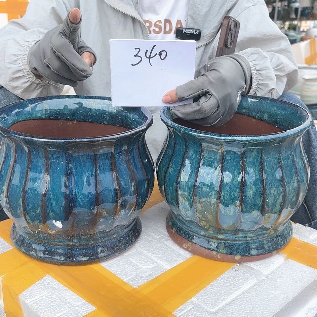 王嫂花盆直播0531/340