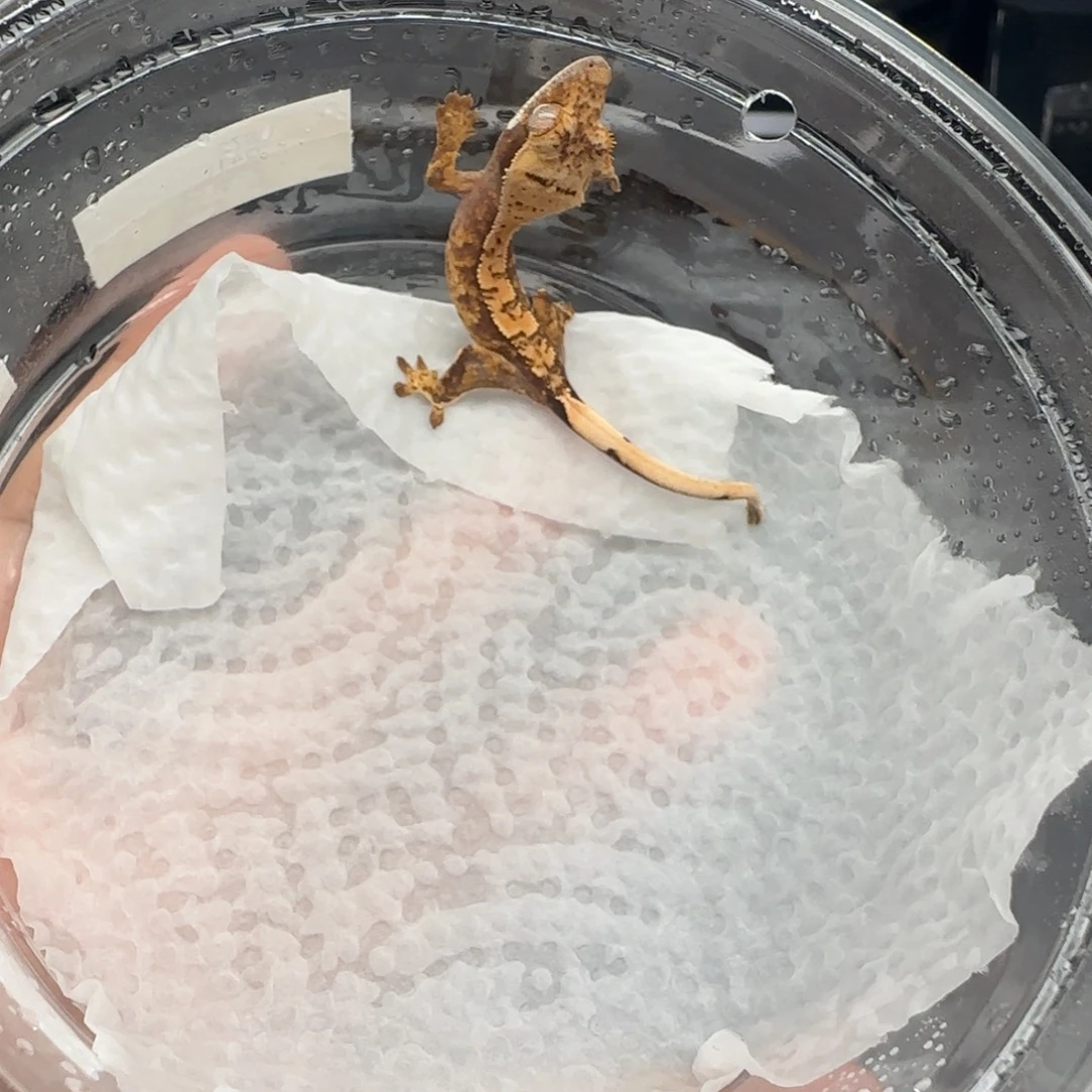 24号宝宝宝宝宝宝宝宝