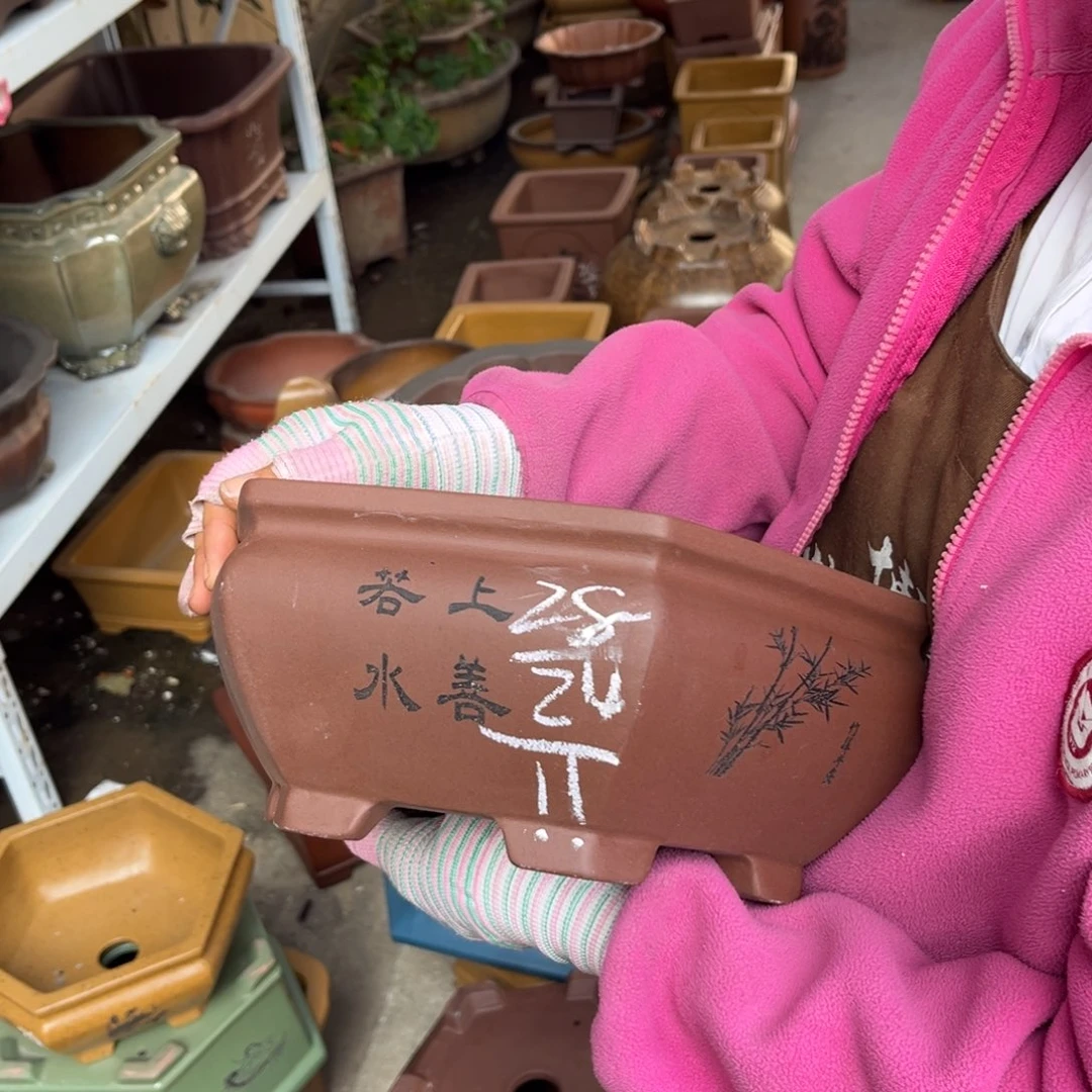 紫砂花盆盆景艺术