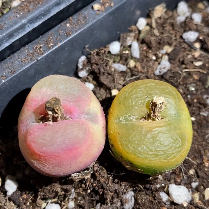 18161一组一组一组