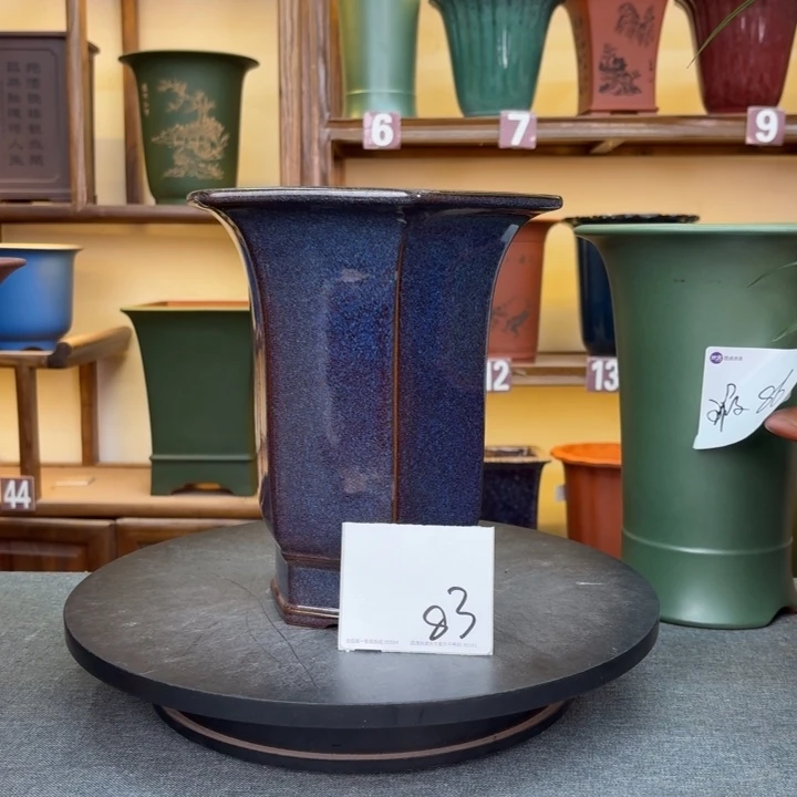 紫砂花盆宣*名兰花45558555555555