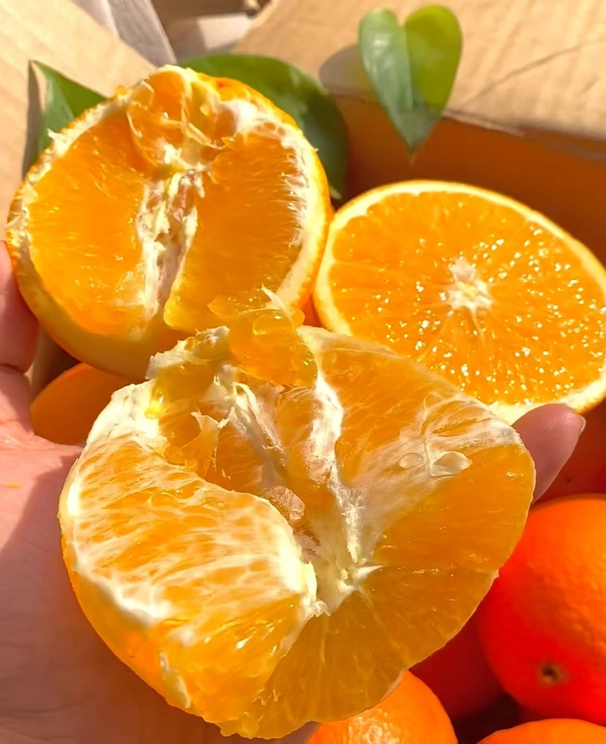 新鲜优等品质多汁橙子纯甜农家自种脐橙小朋友