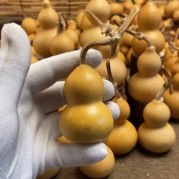 文玩葫芦 完美主义者 慎拍42