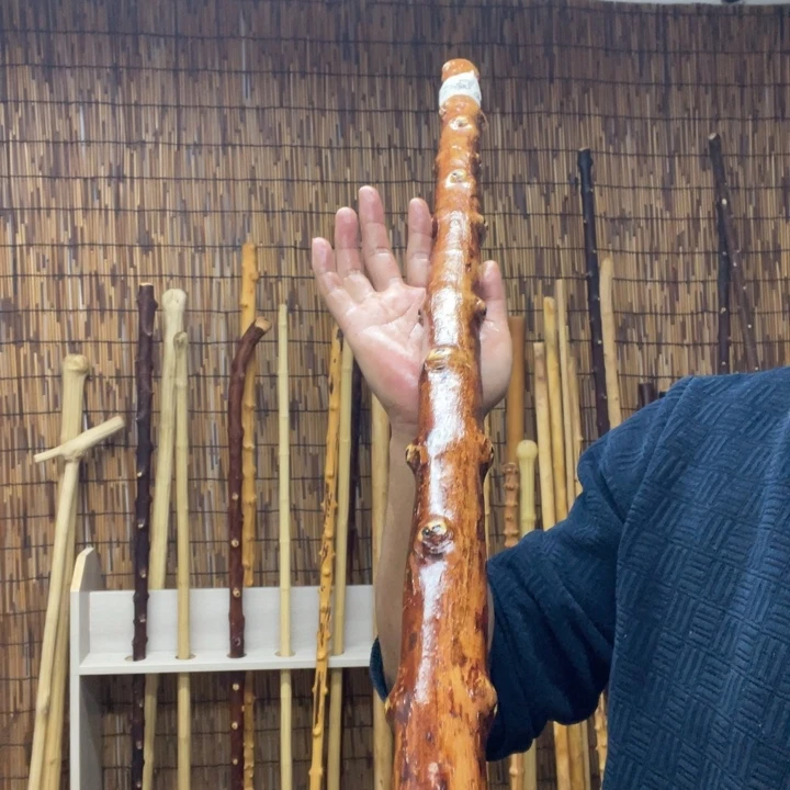 北对节雀梅木精品雀梅