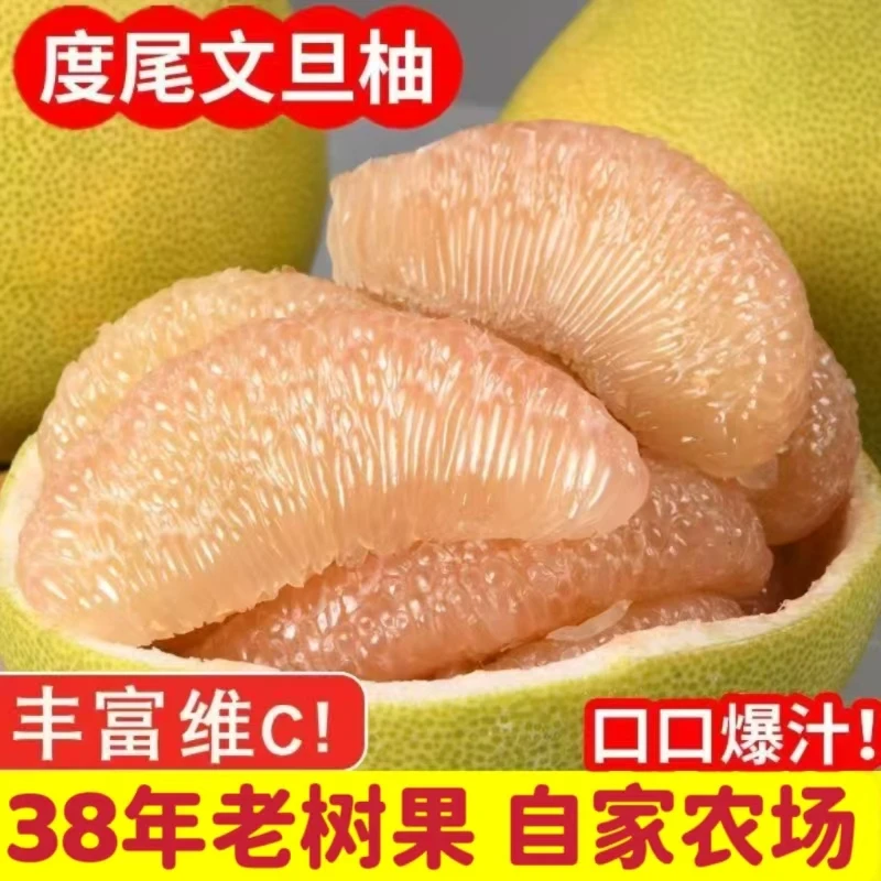 度尾文旦柚红心蜜柚福建仙游柚子新鲜应季孕妇水果酸甜多汁吃不腻